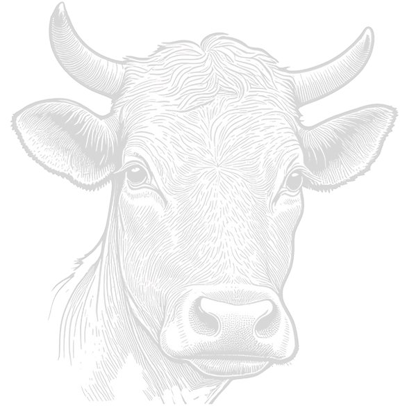 Viande premium