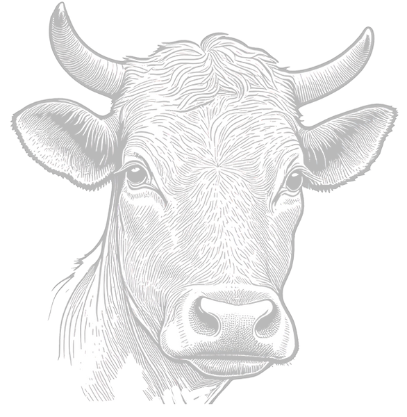Viande premium
